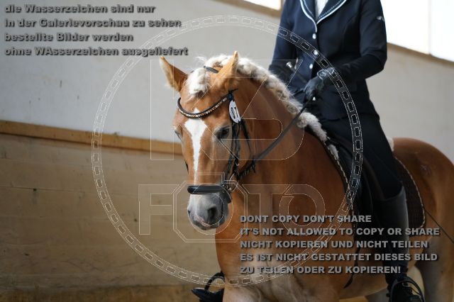s_K3F03061.JPG